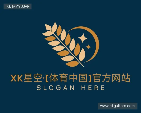 介绍XK星空体育